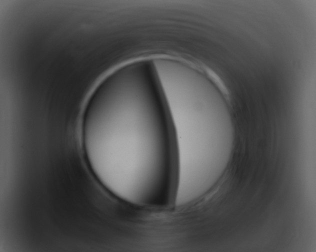 X0000096991516200802080909