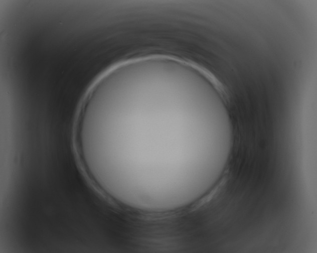 X0000096991518200802080909
