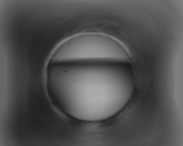X0000096991519200802080909
