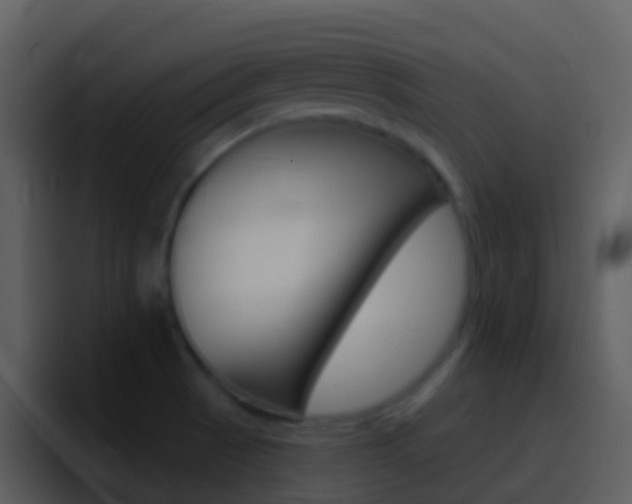 X0000096991521200802080909
