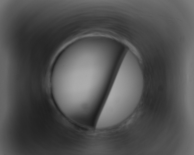 X0000096991522200802080909