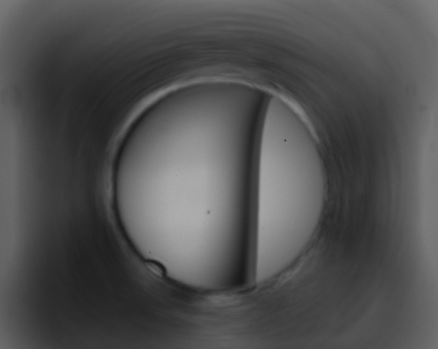 X0000096991523200802080909