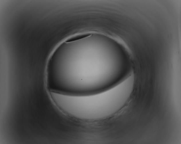 X0000096991524200802080909