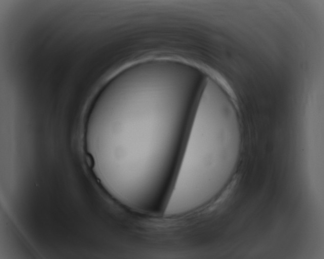 X0000096991525200802080909