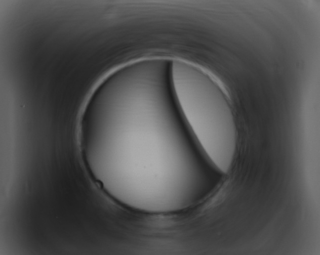 X0000096991527200802080909