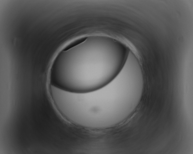 X0000096991528200802080909