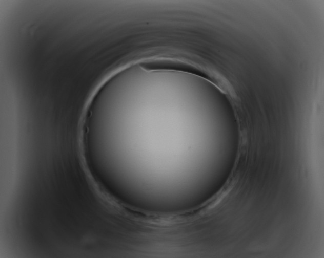 X0000096991530200802080909