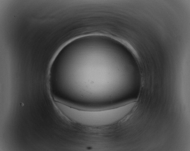 X0000096991532200802080909