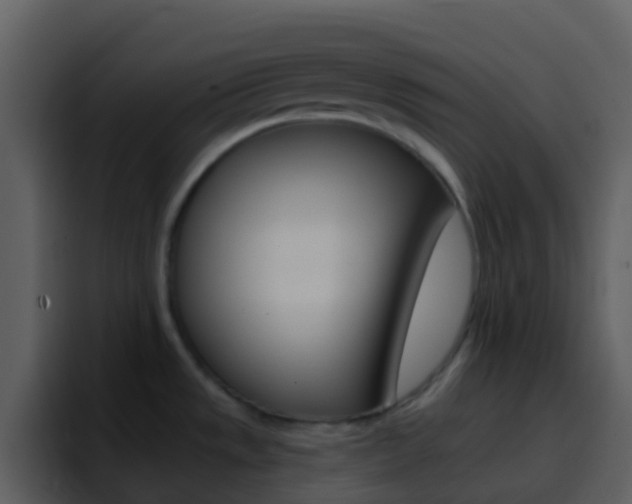 X0000096991533200802080909