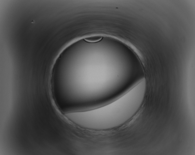 X0000096991534200802080909