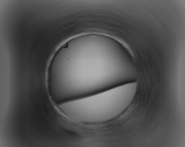 X0000096991535200802080909