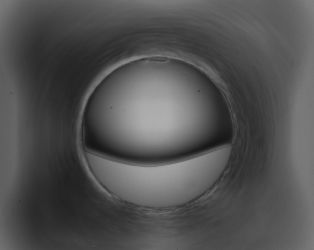 X0000096991536200802080909