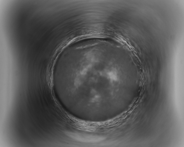 X0000096990002200802081437