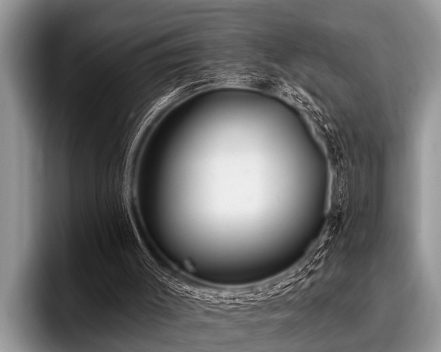 X0000096990003200802081437