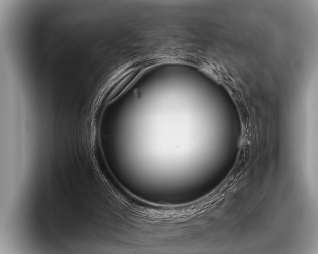 X0000096990005200802081437