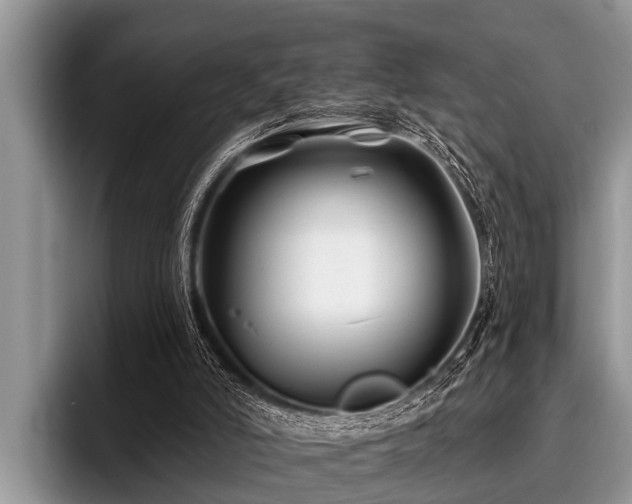 X0000096990006200802081437