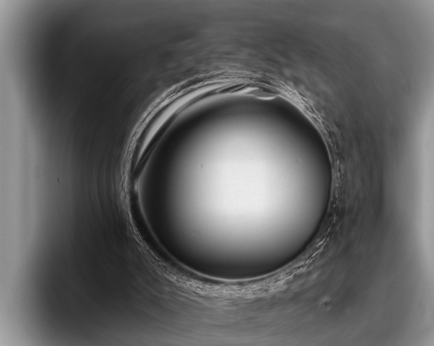 X0000096990007200802081437