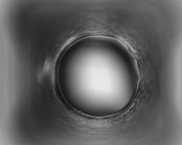 X0000096990008200802081437