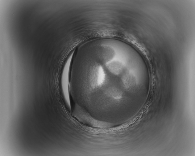 X0000096990009200802081437