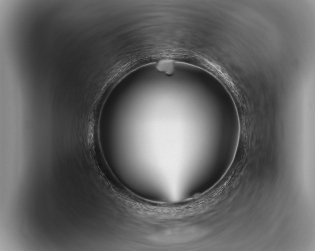 X0000096990010200802081437