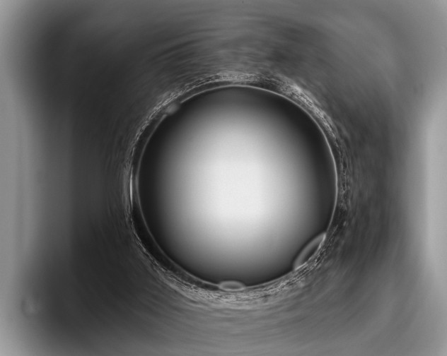 X0000096990011200802081437