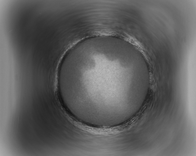 X0000096990012200802081437