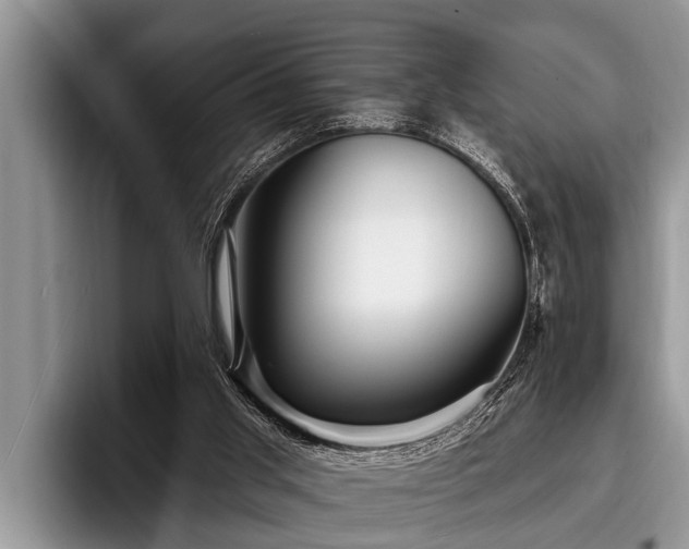 X0000096990013200802081437