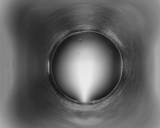 X0000096990014200802081437