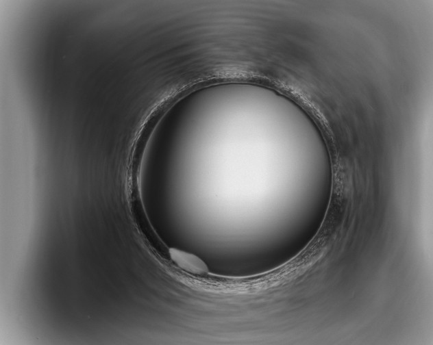 X0000096990015200802081437
