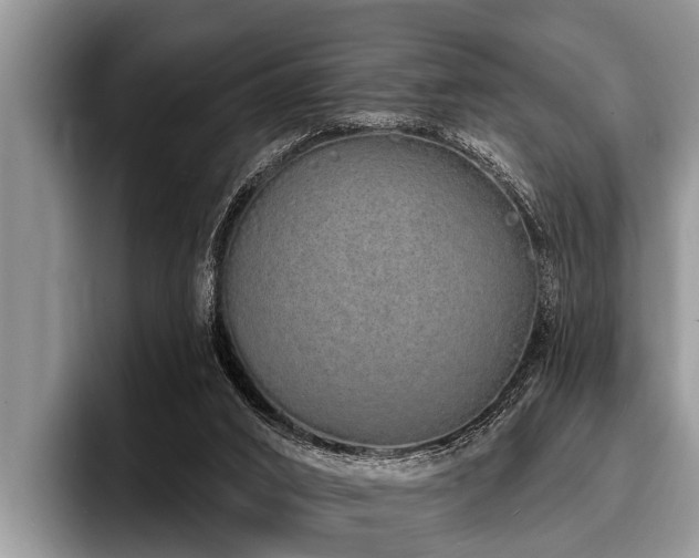 X0000096990016200802081437