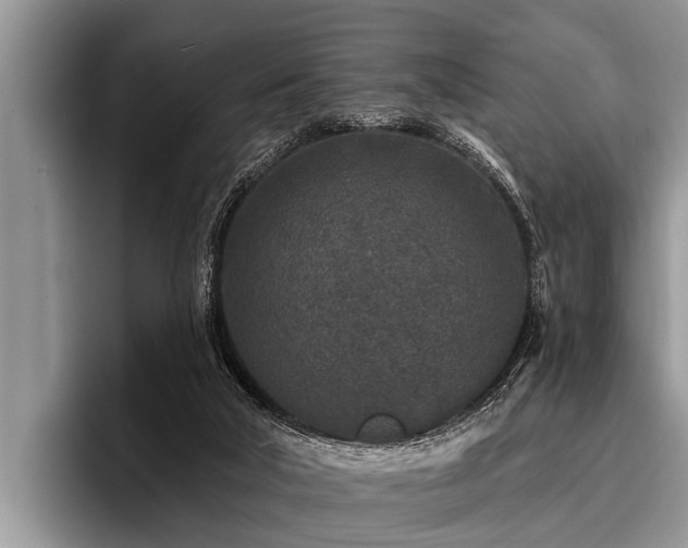 X0000096990018200802081437
