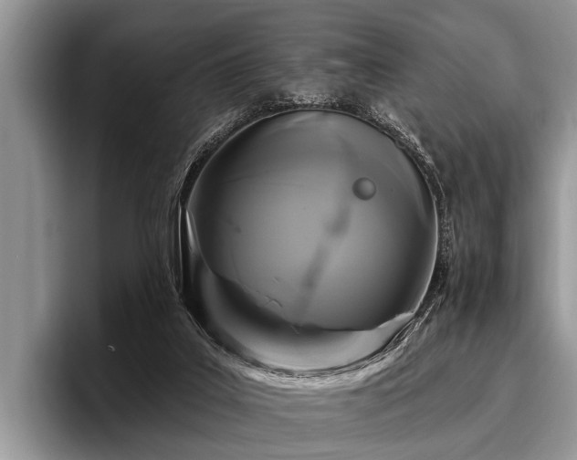 X0000096990019200802081437