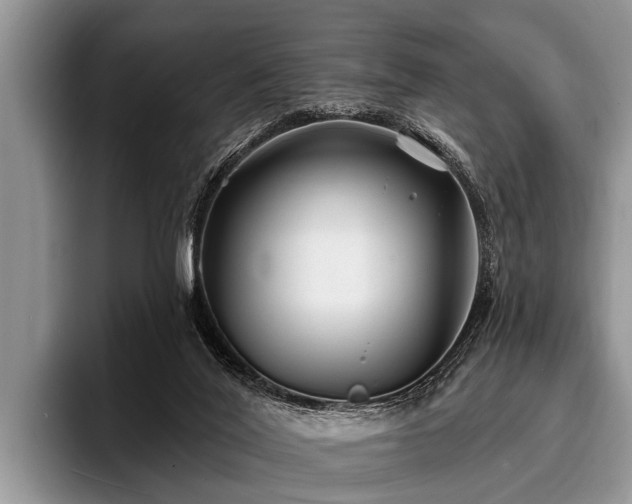 X0000096990020200802081437