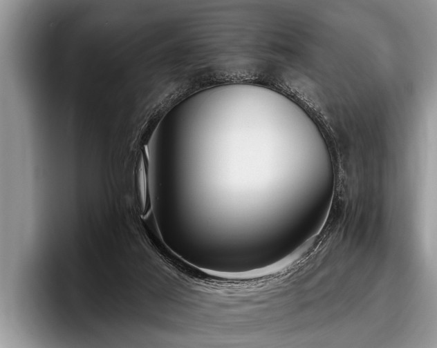 X0000096990021200802081437