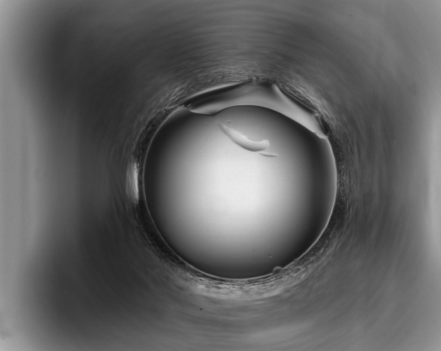 X0000096990022200802081437