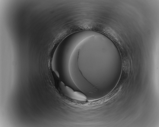 X0000096990023200802081437