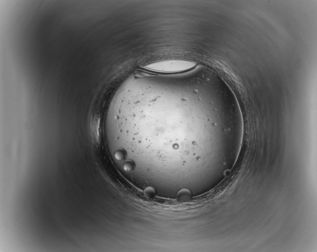 X0000096990024200802081437