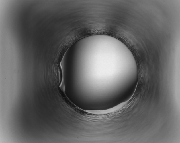 X0000096990025200802081437