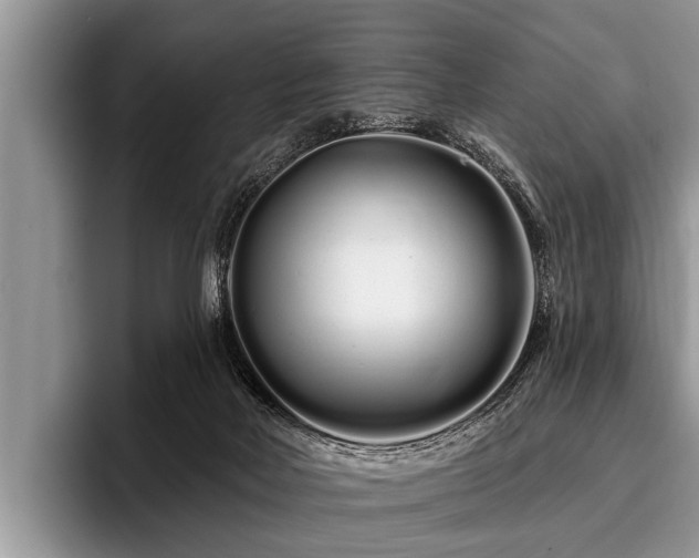 X0000096990026200802081437