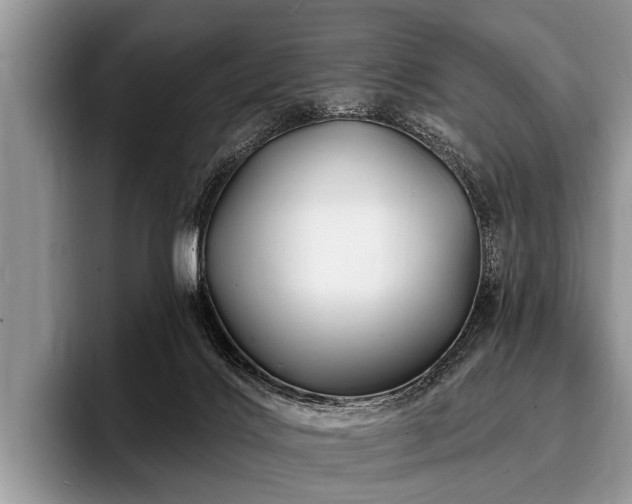 X0000096990028200802081437