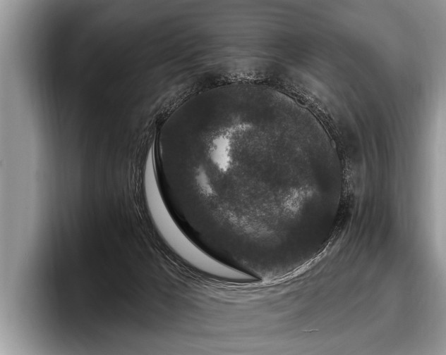 X0000096990029200802081437