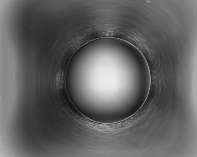 X0000096990030200802081437