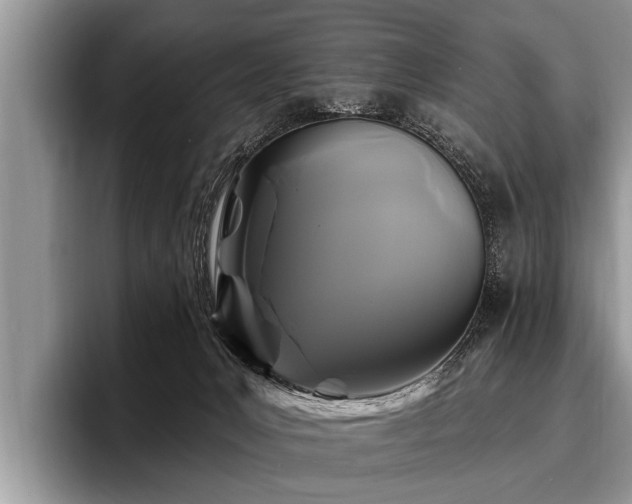 X0000096990031200802081437