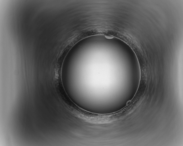 X0000096990032200802081437
