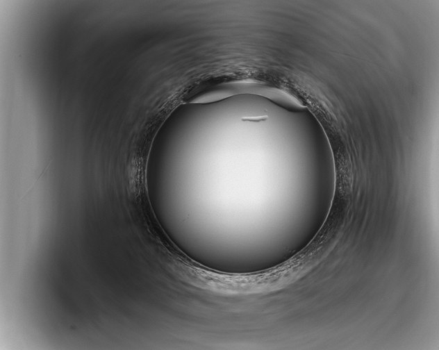 X0000096990034200802081437