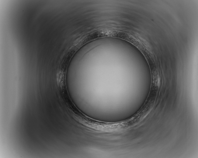 X0000096990036200802081437