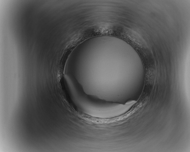X0000096990039200802081437