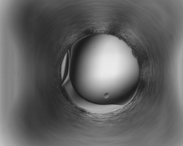 X0000096990041200802081437