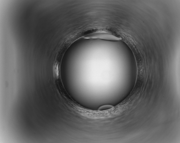 X0000096990042200802081437