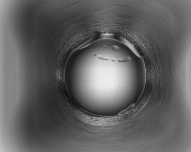 X0000096990044200802081437
